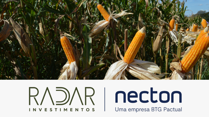 Radar Investimentos: Contrato do milho com vencimento em janeiro fechou em queda de R$ 0,17/saca