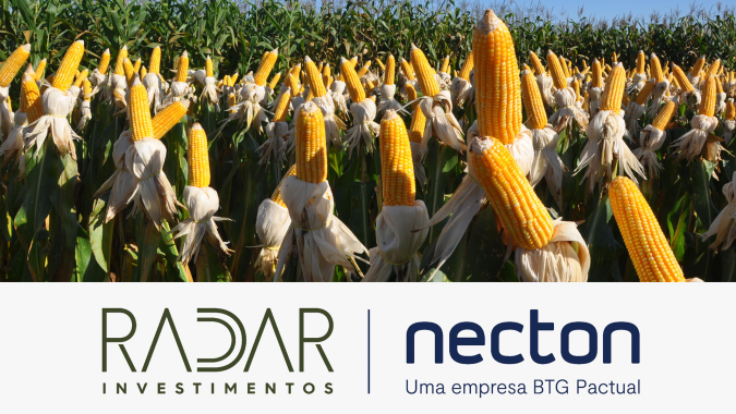 Radar Investimentos: Contrato do milho com vencimento em janeiro fechou em queda de R$ 0,20/saca