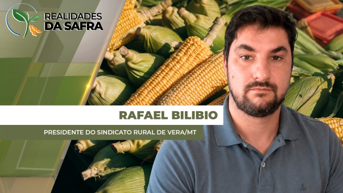 Colheita do milho começa a ganhar mais ritmo em Vera/MT