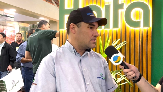 Cultivo de tomates vem ganhando cada vez mais importância no PR e estado vai se tornando polo importante para o setor