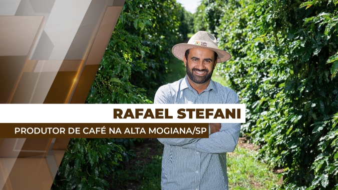 Avanço nas pesquisas vem contribuindo positivamente para a cafeicultura nos últimos anos