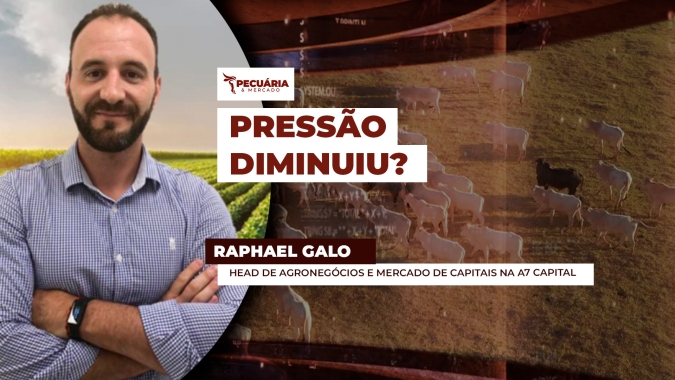 Pressão sobre arroba diminui com demanda de início de mês, mas cenário ainda é negativo para os preços