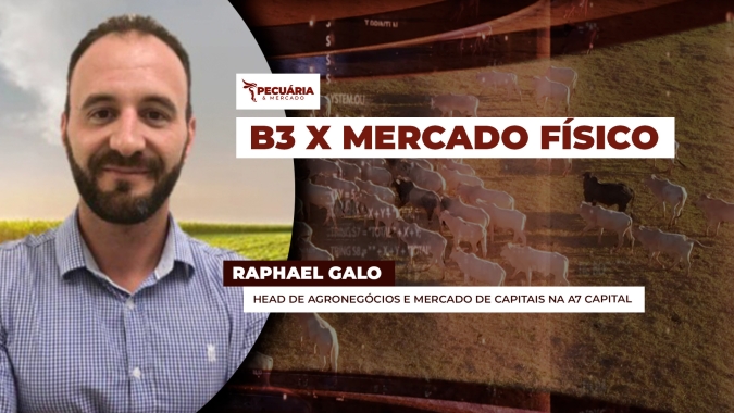 Futuros do boi na B3 se descolam do mercado físico e apontam para quedas fortes na arroba nos próximos meses