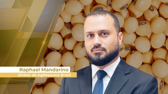 Soja respira com bom resultado do óleo, mas fundamentos ainda apontam para pressão nos preços do grão