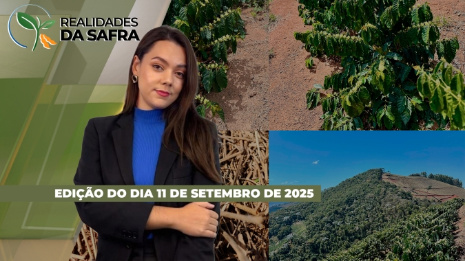 Plantio da safra de soja 25/26 inicia em Assis Chateaubriand/PR, enquanto colheita chega na reta final em Roraima