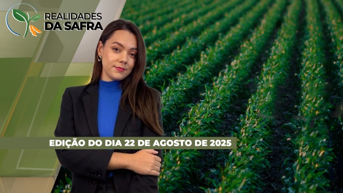 Balsas/MA finaliza colheita de milho, enquanto Pato Branco/PR se prepara para safra 25/26