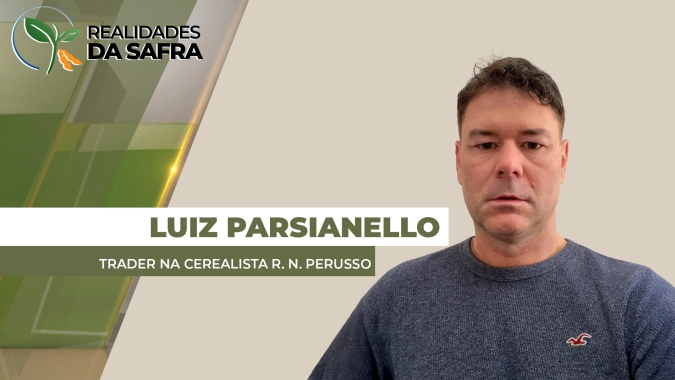 Produtividade do milho em Pato Branco/PR cresce 40% acima da média dos últimos cinco anos