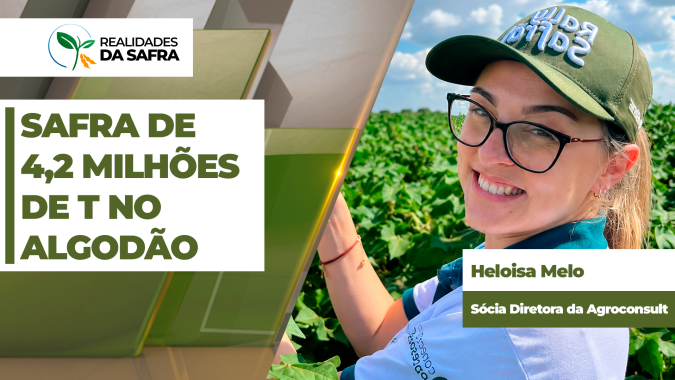 Rally do Algodão começa projetando safra de 4,2 milhões de toneladas nesta safra
