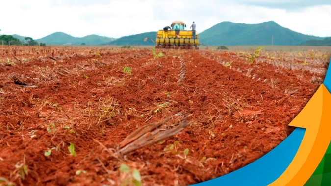 Chuvas intensas em outubro e novembro atrasaram o plantio e o desenvolvimento da soja em SC
