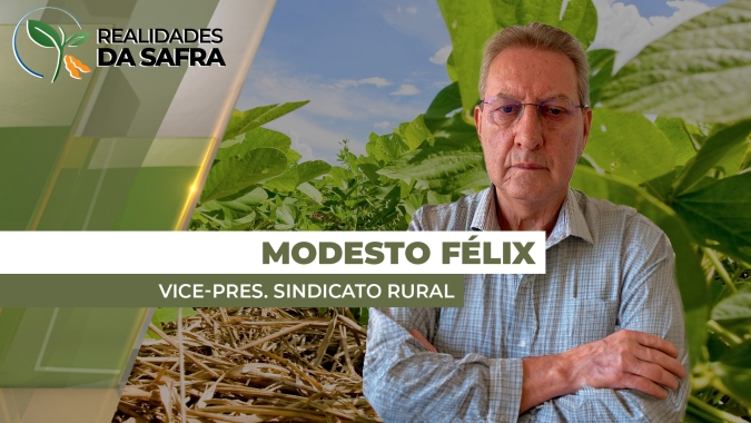 Chuvas beneficiam desenvolvimento da soja em Cascavel (PR), mas céu encoberto é ponto de preocupação