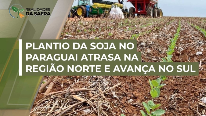 Plantio da soja no Paraguai atrasa na região norte por falta de chuvas, mas avança no sul