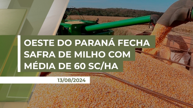 Oeste do Paraná fecha safra de milho com média de 60 sc/ha e se prepara para plantar a soja em setembro