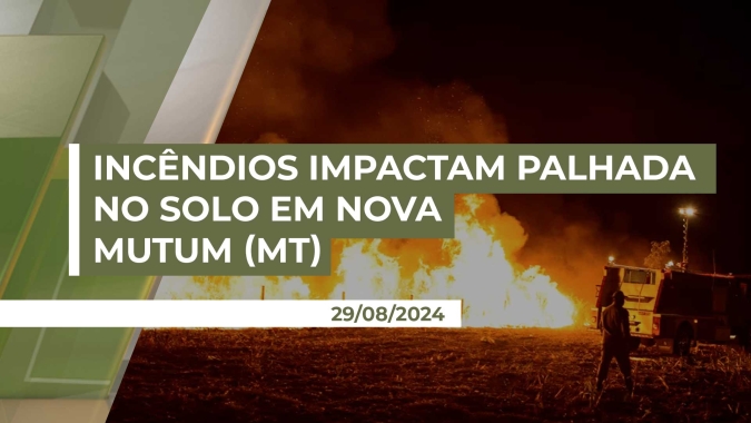 Incêndios em Nova Mutum (MT) queimam parte da palhada no solo já com adubo e calcário aplicados, diz liderança local