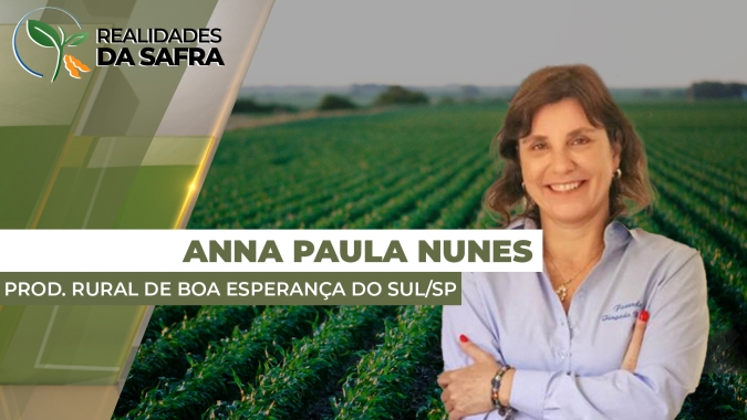 Após atraso no plantio, chuvas chegaram para contribuir com o desenvolvimento da soja em Boa Esperança do Sul (SP)