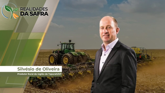 Desenvolvimento do plantio da soja em Tapurah/MT