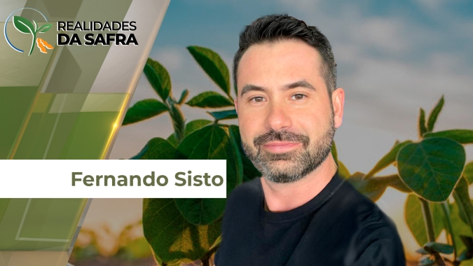Chuvas irregulares em Rondon do Pará (PA) complicam o plantio da soja