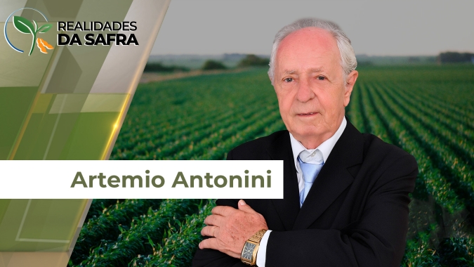 Soja se desenvolve bem com chuvas regulares em Nova Xavantina (MT)