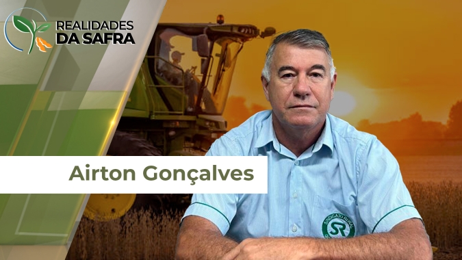 Veranico de cerca de 20 dias em Goioerê (PR) atrapalha desenvolvimento da soja