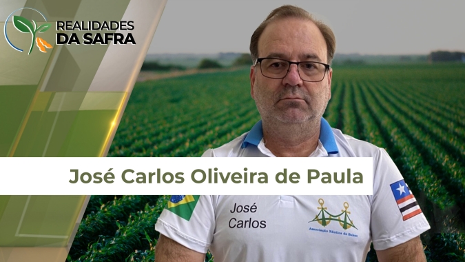 Plantio da soja passa da metade no Maranhão com boa projeção de produtividade