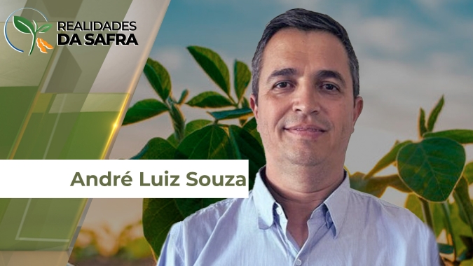 Altos volumes de chuva têm atrasado desenvolvimento da soja em Araguari (MG)