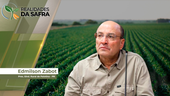 Crise hídrica traz prejuízos para o desenvolvimento do plantio da soja em Palotina/PR