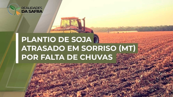 Com falta de chuvas, plantio da soja está atrasado em Sorriso (MT), com cerca de 5% das áreas semeadas