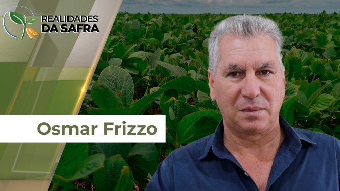 Plantio da soja em Querência/MT ficou concentrado em 2 semanas e isso preocupa para a colheita