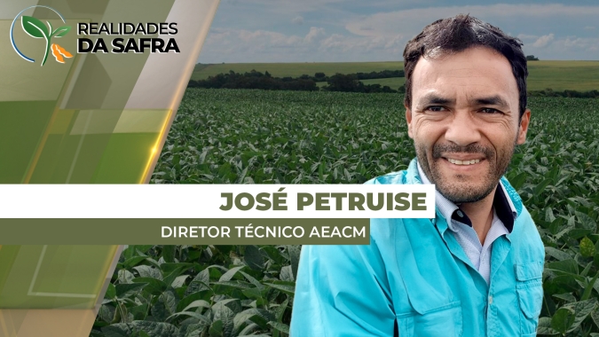 Colheita da soja deve começar nos próximos dias em Campo Mourão/PR