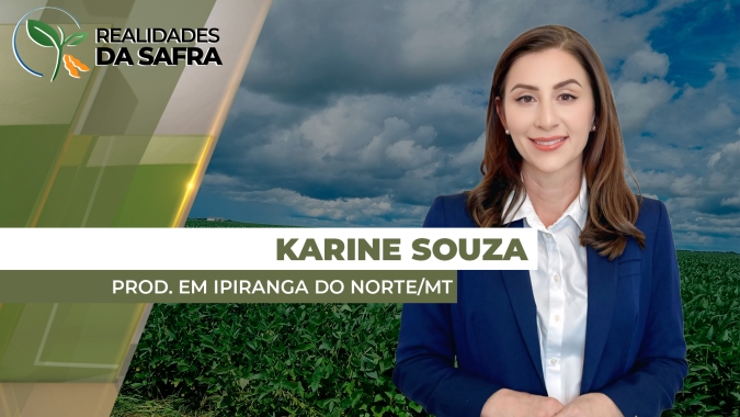 Colheita da soja de pivô já começou em Ipiranga do Norte/MT e sequeiro deve ficar entre 15 e 20 de janeiro