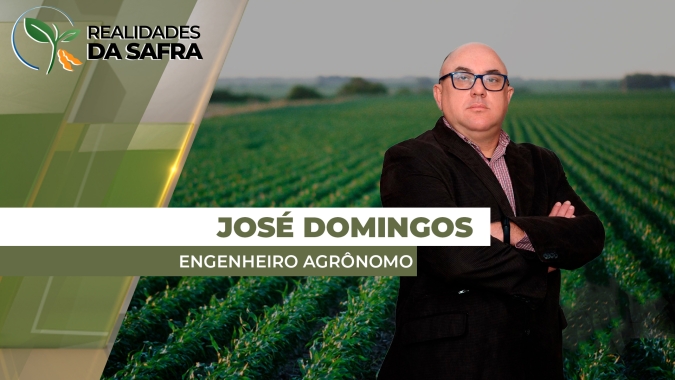Plantio da soja se encaminha para o final em Barra do Garças (MT) e engenheiro agrônomo destaca otimismo com cultivos ao longo da BR -158