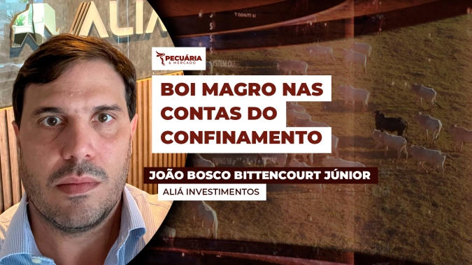 Relação Boi Magro X Boi gordo piora para confinador, mas tendência é positiva para o segundo giro