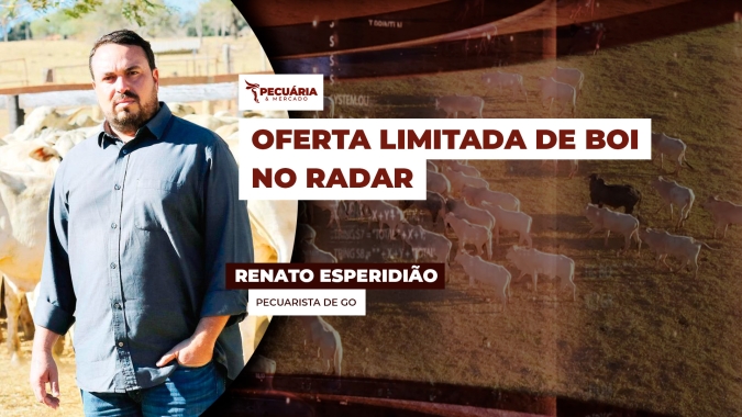 Pecuarista de GO fala sobre o atual momento da pecuária e reforça cenário de oferta limitada de animais para os próximos meses