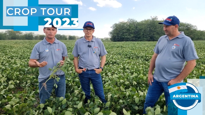 Crop Tour Argentina percorre mais de 3 mil km e constata perdas intensas, principalmente, na soja e milho plantados mais cedo