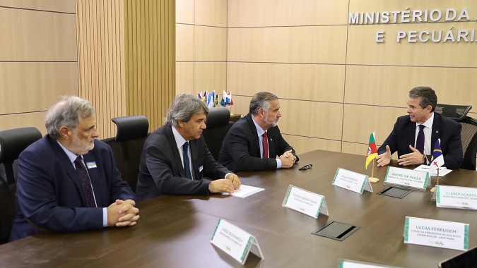 Ibraoliva leva ao Ministério da Agricultura demandas para proteger produção nacional