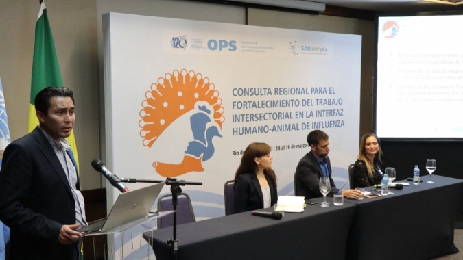 Fortalecer a vigilância e a resposta à gripe aviária nas Américas é tema de reunião da força-tarefa da OPAS