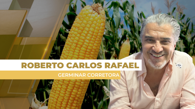 Chicago, câmbio e safrinha estão empurrando preços do milho para baixo no Brasil