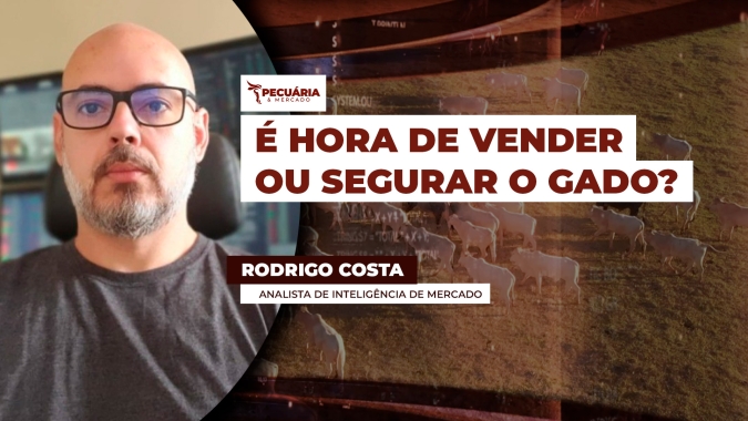 Queda da arroba preocupa pecuaristas: mercado pode reagir ou tendência é de baixa?