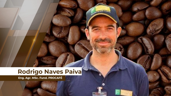 Floração cafeeiros: 70% das lavouras do Sul de Minas Gerais sofreram impactos devido ao clima adverso