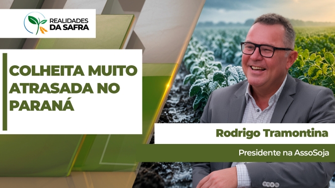 Norte do Paraná já deveria ter colhido metade da safra de milho, mas trabalhos ainda não começaram