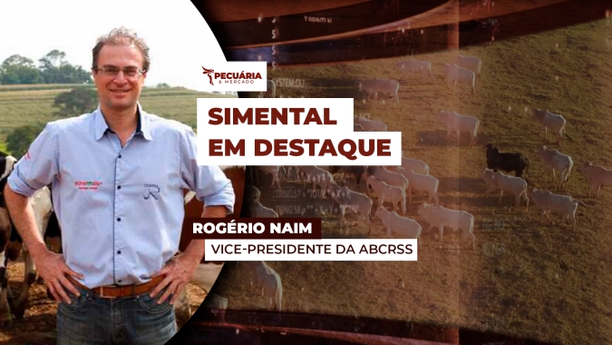 Raça de origem Suíça se adaptou bem ao Brasil e ficou conhecida pela dupla aptidão leite e corte