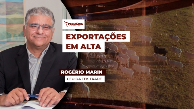 Exportações de carne bovina devem crescer com foco na abertura de mercado para países da Ásia