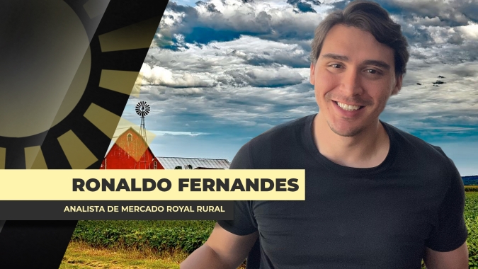 Reunião entre Trump e Xi foi "balde de água fria" para o mercado de soja