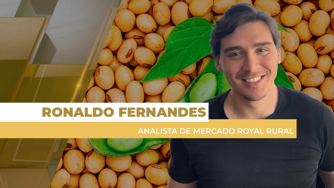 Soja tem leves altas em Chicago nesta terça-feira acompanhando o petróleo