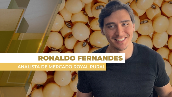 Bom momento dos prêmios no Brasil compensa parte das baixas fortes em Chicago nesta 4ª feira