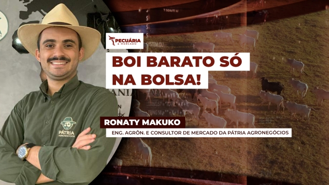 Queda da arroba na B3 é exagerada e preços no mercado físico apontam para outra realidade, afirma analista