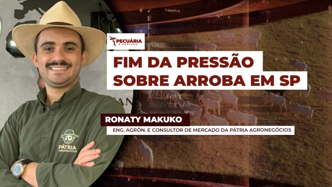 Fim da pressão sobre arroba do boi em SP deve acontecer em 10 dias com ajuste na oferta de animais, alerta analista