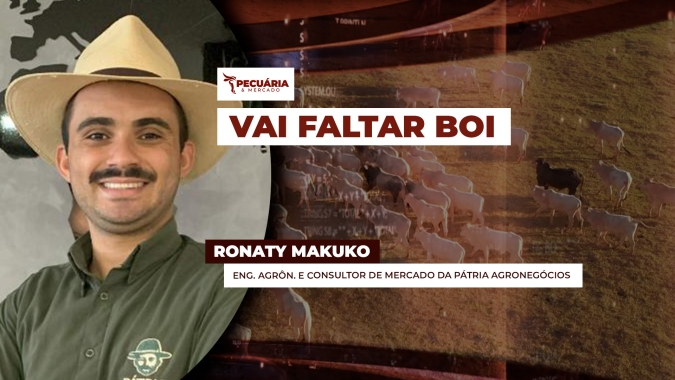 Vai faltar boi pronto para abate no Brasil entre agosto e setembro, alerta analista