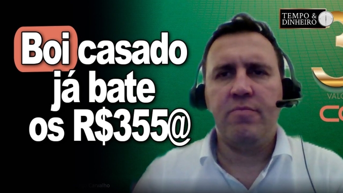 Boi casado já bate os R$355@ e mercado segue aquecido, informa Thiago Bernardino, do CEPEA