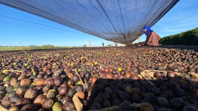Café limita baixas e volta a operar apenas com ajustes nesta 5ª feira