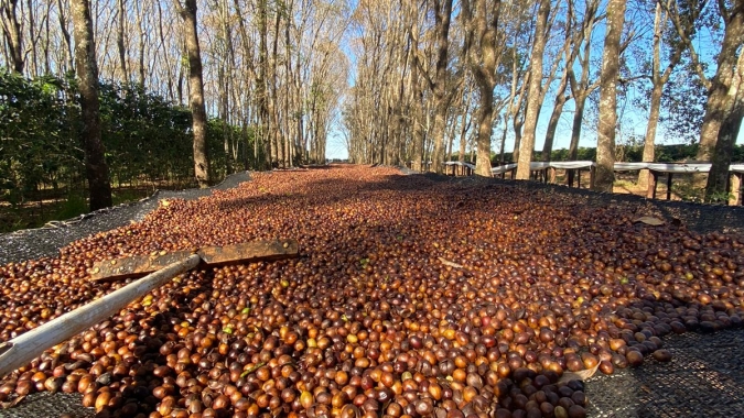 Campeões do 10º Prêmio Região do Cerrado Mineiro serão divulgados em 30 de novembro
